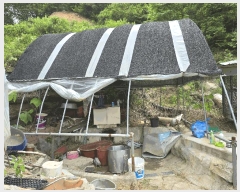  2025Ÿ��11725 �泲 õ�Ƚ� ������ ��õ�� ��õ�� ��49     ����(�Ӿ�)���