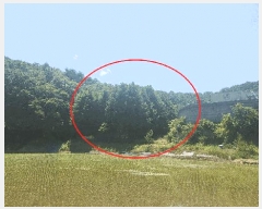  2025Ÿ��11733 �泲 õ�Ƚ� ������ ��õ�� �ż��� 149-2     ����(��1)���