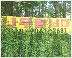  2025Ÿ��11733 �泲 õ�Ƚ� ������ ��õ�� �ż��� 149-2     ����(��1)���