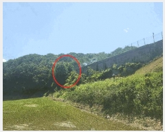  2025Ÿ��11733 �泲 õ�Ƚ� ������ ��õ�� �ż��� 149-2     ����(��1)���