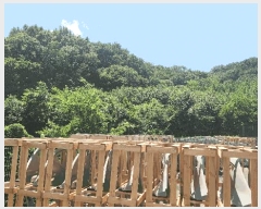  2025Ÿ��11733 �泲 õ�Ƚ� ������ ��õ�� �ż��� 149-2     ����(��1)���