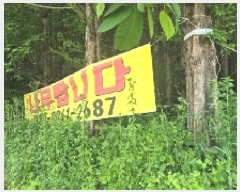  2025Ÿ��11733 �泲 õ�Ƚ� ������ ��õ�� �ż��� 149-2     ����(��1)���