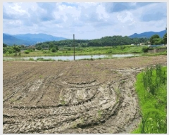  2025Ÿ��11769 �泲 �ƻ�� ��� 151       ����(��)���