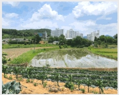  2025Ÿ��11769 �泲 �ƻ�� ��� 151       ����(��)���