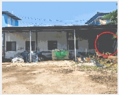  2025Ÿ��11787 �泲 õ�Ƚ� ���ϱ� ����� ��� 399-6     �ܵ�����,�����ð��