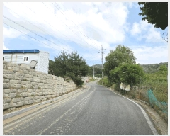  2025Ÿ��11829  ������