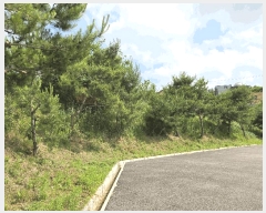  2025Ÿ��11829  ������