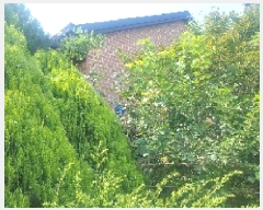  2025Ÿ��11875 �泲 �ƻ�� ���ָ� �ؾϸ� 240      ���ð��