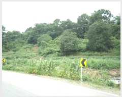  2025Ÿ��11989 �泲 õ�Ƚ� ������ ������ �Ŵ��� 361     ����(�Ӿ�)���