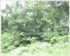  2025Ÿ��11989 �泲 õ�Ƚ� ������ ������ �Ŵ��� 361     ����(�Ӿ�)���