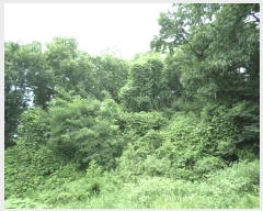  2025Ÿ��11989 �泲 õ�Ƚ� ������ ������ �Ŵ��� 361     ����(�Ӿ�)���