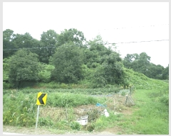  2025Ÿ��11989 �泲 õ�Ƚ� ������ ������ �Ŵ��� 361     ����(�Ӿ�)���