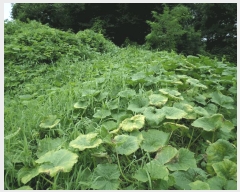  2025Ÿ��11989 �泲 õ�Ƚ� ������ ������ �Ŵ��� 361     ����(�Ӿ�)���