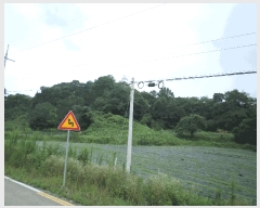  2025Ÿ��11989 �泲 õ�Ƚ� ������ ������ �Ŵ��� 361     ����(�Ӿ�)���