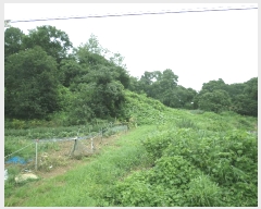  2025Ÿ��11989 �泲 õ�Ƚ� ������ ������ �Ŵ��� 361     ����(�Ӿ�)���