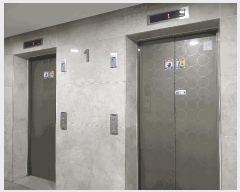  2025Ÿ��12021  ����Ʈ���