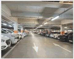  2025Ÿ��12021  ����Ʈ���