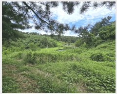  2025Ÿ��12149  �����