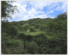  2025Ÿ��12149  �����