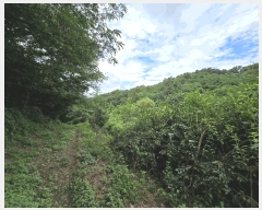  2025Ÿ��12149  �����