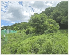  2025Ÿ��12149  �����