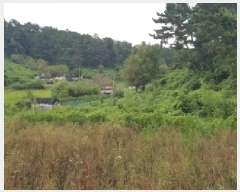  2025Ÿ��12149  �����