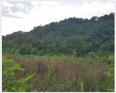  2025Ÿ��12149  �����