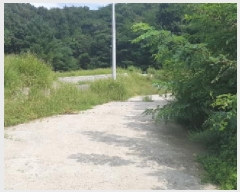 2025Ÿ��12289 �泲 õ�Ƚ� ������ ��õ�� ���긮 128-3     ����(�Ӿ�)���
