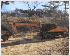  2025Ÿ��12789  �������