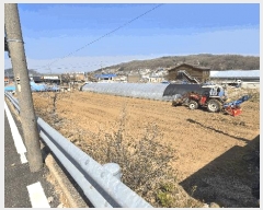  2025Ÿ452 泲 ƻ 굿 144-1       ()