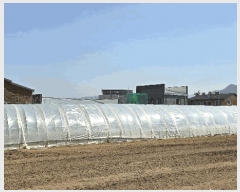  2025Ÿ452 泲 ƻ 굿 144-1       ()