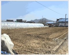  2025Ÿ452 泲 ƻ 굿 144-1       ()