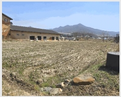  2025Ÿ452 泲 ƻ 굿 144-1       ()