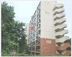  2025Ÿ��556 �泲 õ�Ƚ� ������ ��õ�� �Ｚ�� 9-12 ���Ӹ����ο�����Ʈ 120�� 7��703ȣ  ����Ʈ���