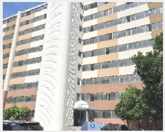  2025Ÿ��556 �泲 õ�Ƚ� ������ ��õ�� �Ｚ�� 9-12 ���Ӹ����ο�����Ʈ 120�� 7��703ȣ  ����Ʈ���