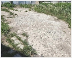  2025Ÿ��583 �泲 õ�Ƚ� ���ϱ� ������ ������ 326-15     ����(����)���