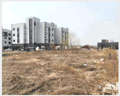  2025Ÿ11310 泲 ƻ  븮 337-176      (Ӿ)