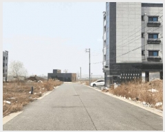  2025Ÿ11310 泲 ƻ  븮 337-176      (Ӿ)