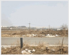  2025Ÿ11310 泲 ƻ  븮 337-176      (Ӿ)