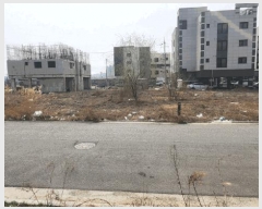  2025Ÿ11310 泲 ƻ  븮 337-176      (Ӿ)