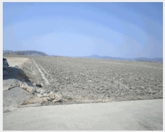  2025Ÿ11430 泲 ƻ θ â븮 821      ()