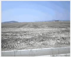  2025Ÿ11430 泲 ƻ θ â븮 821      ()