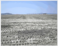  2025Ÿ11430 泲 ƻ θ â븮 821      ()