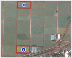  2025Ÿ11430 泲 ƻ θ â븮 821      ()