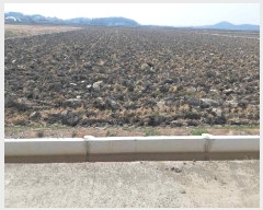  2025Ÿ11430 泲 ƻ θ â븮 821      ()