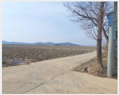  2025Ÿ11430 泲 ƻ θ â븮 821      ()