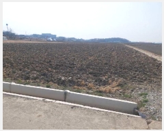  2025Ÿ11430 泲 ƻ θ â븮 821      ()