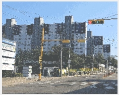  2025Ÿ11495 泲 õȽ  õ Ű踮 103-4 õŵ귡1Ʈ 103 121201ȣ  Ʈ