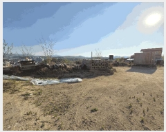  2025Ÿ��11579  �Ӿ߰��