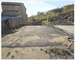  2025Ÿ��11579  �Ӿ߰��